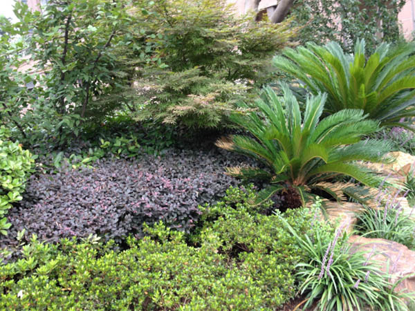 J9集团直营的愿景与理想