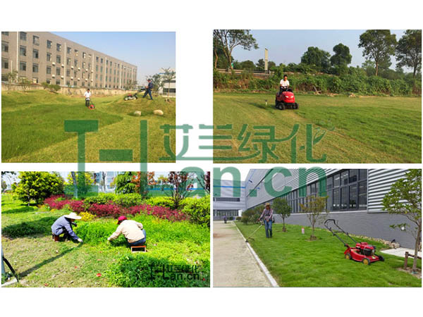 城市园林绿化的重点有哪些？